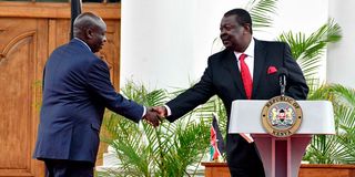 Musalia Mudavadi and Rigathi Gachagua