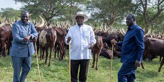  President Yoweri Museveni 