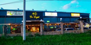 Hornbill The Flight Club