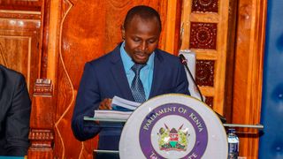 Dennis Mokaya testifies before the Senate during the impeachment hearing