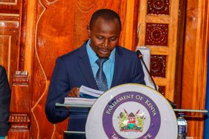 Dennis Mokaya testifies before the Senate during the impeachment hearing