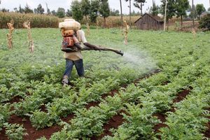 Farm worker