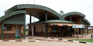 Amboseli National Park