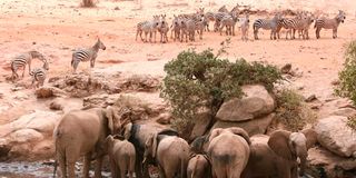 Tsavo East National Park