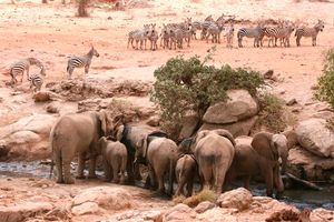 Tsavo East National Park