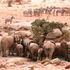 Tsavo East National Park