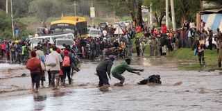 River Nanyuki