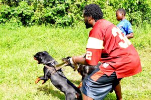 Philip Martin during a training session with one of his Rottweiler dogs