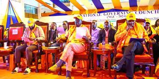 ODM National Governing Council 