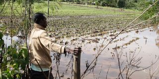 A flooded farm in Kamwaura village after a heavy downpour along the Elburgon-Njoro road