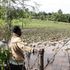 A flooded farm in Kamwaura village after a heavy downpour along the Elburgon-Njoro road