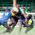 Kabras Sugar's Griffin Chao (centre) charges against Homeboyz Peter Mboya (left) and Godfrey Kile