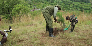 President William Ruto