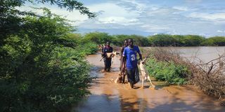 Baringo floods 