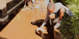  Muslim Primary School