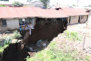 Rift Valley fissures