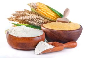 Maize flour