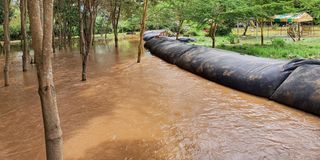 Slamdam technology floods