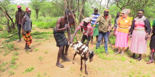 West Pokot dung smearing