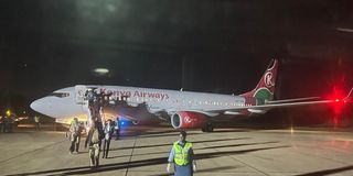 KQ Kisumu birdstrike