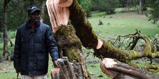 Special report: Climate change and sports