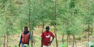 Special report: Climate change and sports