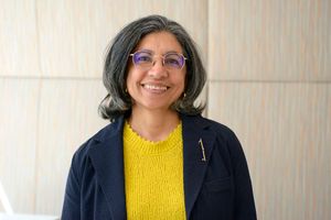 Lawyer Binaifer Nowrojee,