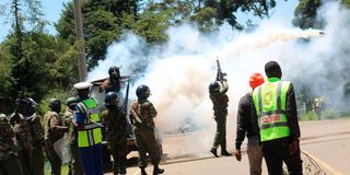Police lob teargas