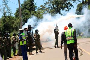 Police lob teargas