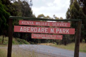 Aberdare National Park