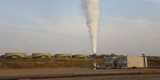 Geothermal Development Company 