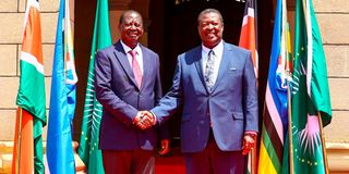 Raila Odinga and Musalia Mudavadi