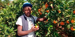 Benson Mbithi