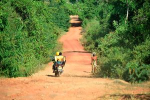 Shimba Hills National Reserve 