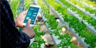 AI in agriculture