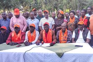 ODM Nyanza 