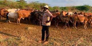 President William Ruto 