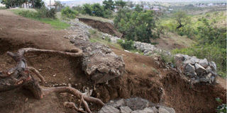 Kwa Jomvu Primary School 