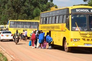 School buses