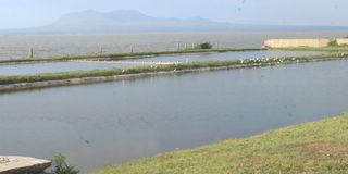 Homa Bay sewage treatment plant
