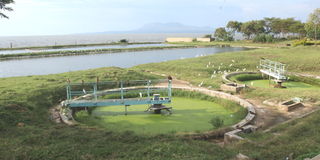 Homa Bay sewage treatment plant