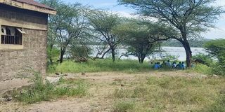 WhatsApp Image 2024-09-12 at 11.38.03