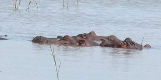 WhatsApp Image 2024-09-12 at 11.54.40