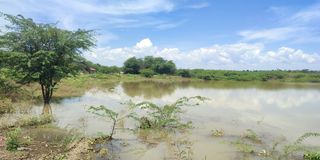 WhatsApp Image 2024-09-12 at 11.33.22