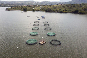 Aquaculture 2-Online