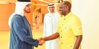 William Ruto with Sheikh Mohamed bin Zayed 