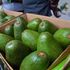 Avocados