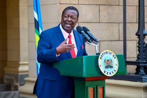 Musalia Mudavadi 