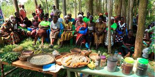 Mashinani Seed Fair