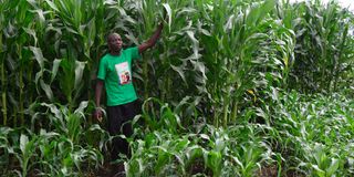 Maize farmer